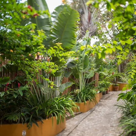 Vila Deste Hotel-2